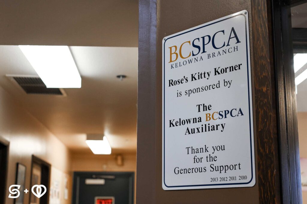 BCSPCA Plaque for Rose's Kitty Korner