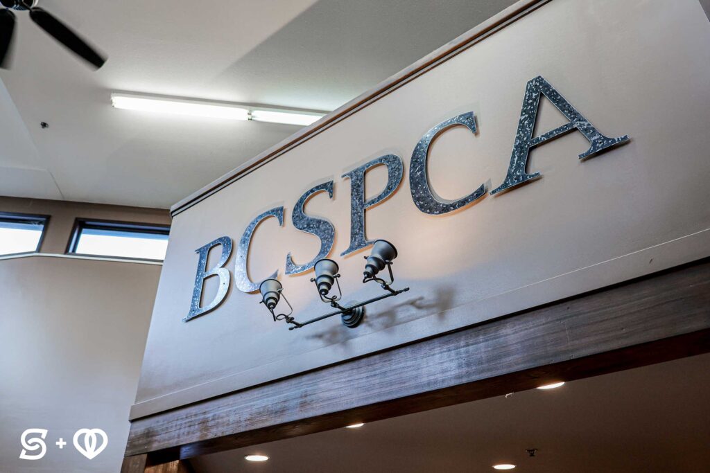BCSPCA logo on interior wall
